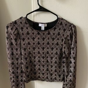 Topshop Shimmery Crop Top